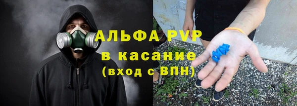 крисы Богородицк