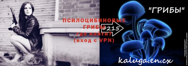 ECSTASY Богородск