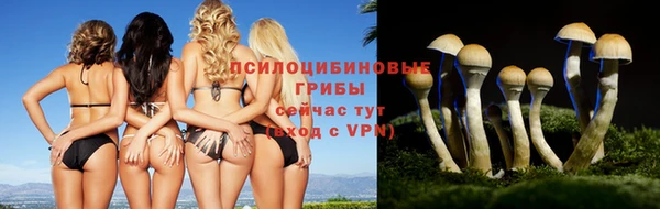 ECSTASY Богородск