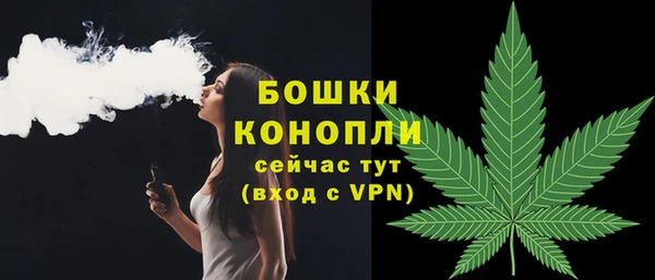 ECSTASY Богородск