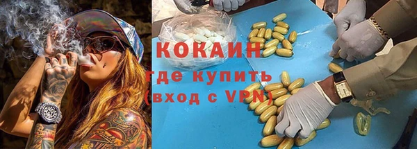 крисы Богородицк