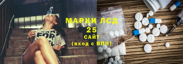 ECSTASY Богородск