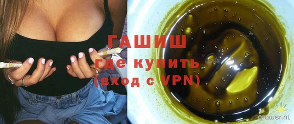 крисы Богородицк