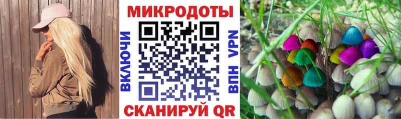 Псилоцибиновые грибы мицелий  купить наркотик  Миасс 